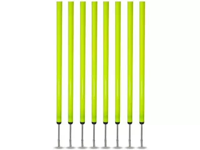 Estacas para Treinamento e Agilidade Acte T77 8 Unidades