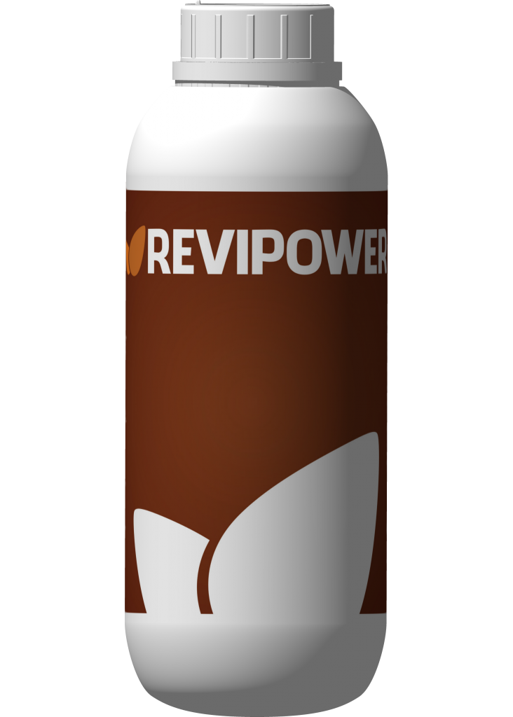 Revigor / Revipower