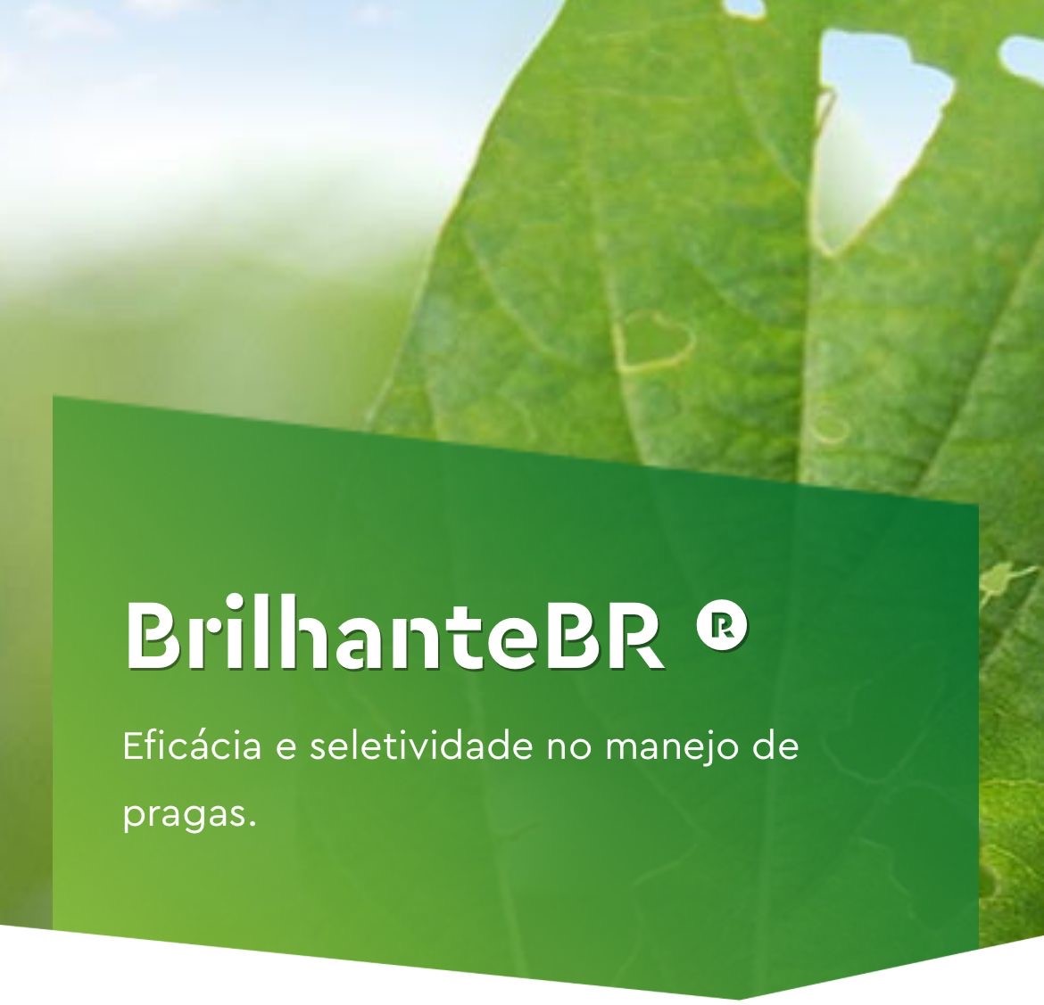 BRILHANTE BR®