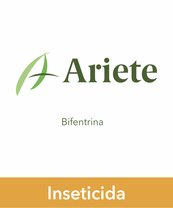 ARIETE