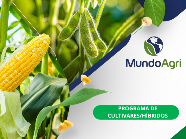 PROGRAMA DE CULTIVARES/HÍBRIDOS - MUNDO AGRI