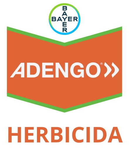 ADENGO 