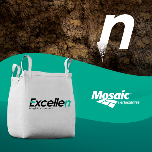 ADUBO 33 00 15 UR EXCLN BAG MOSAIC