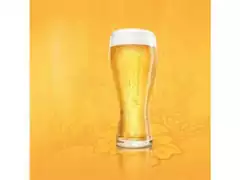 Jogo de Copos de Vidro para Cerveja Budweiser 2 Unidades de 400ml - 2