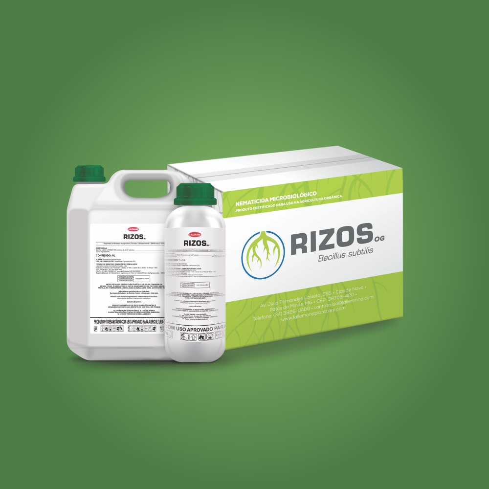 Rizos OG