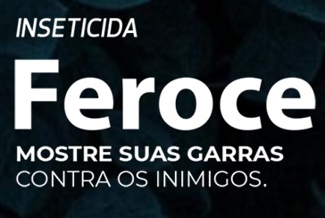 Feroce