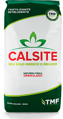 Calsite (Ca 33% + Si 1%)