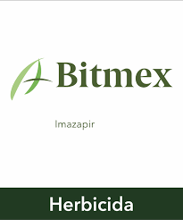 Bitmex 250 SL