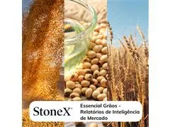 Relatórios para o Mercado de Grãos - StoneX - 0