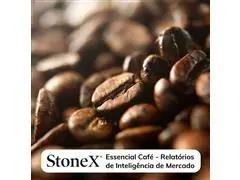 Relatórios para o Mercado de Café - StoneX - 0