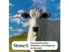 Relatórios para o Mercado de Pecuária - StoneX