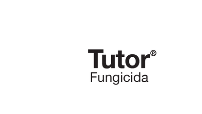 TUTOR