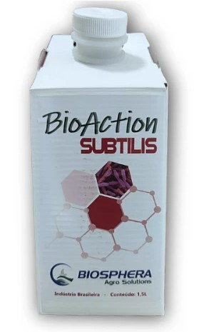 BIO ACTION SUBTILILS