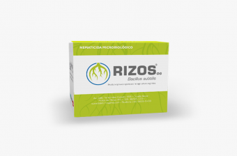 Rizos