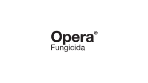 Opera