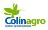 AGRIMINS INICIO