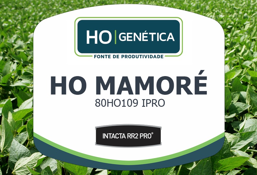 SEMENTE DE SOJA - 80HO109 IPRO (MAMORE) - BB - MS