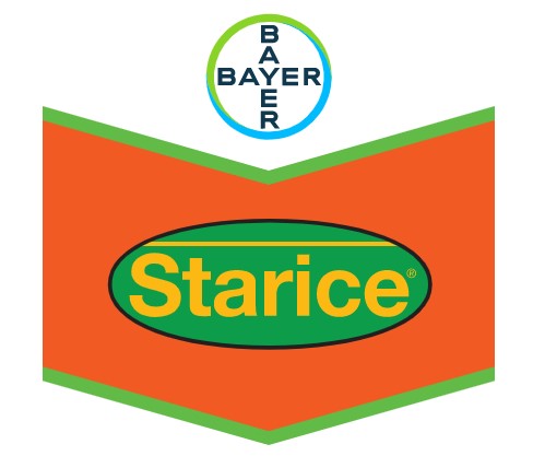 STARICE EC BOT BR