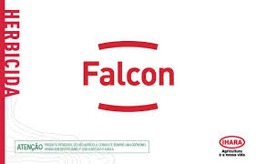 FALCON