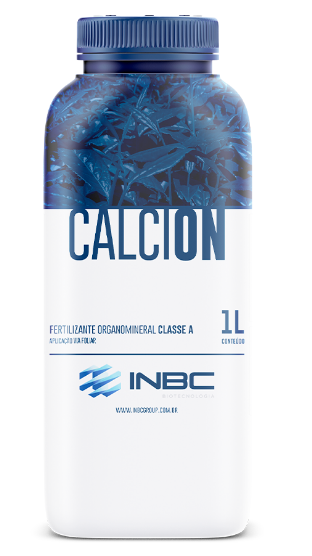 CALCION