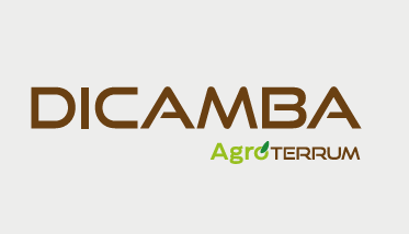 Dicamba