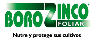 BOROZINCO FOLIAR