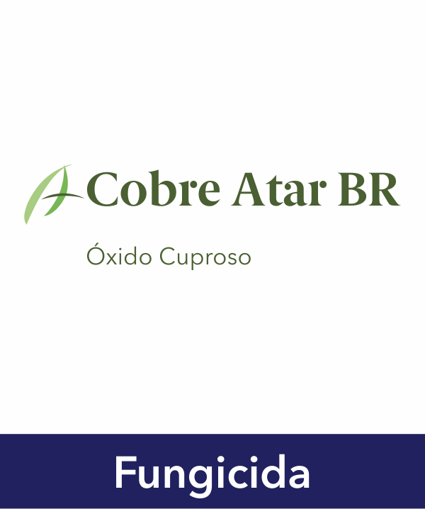 COBRE ATAR BR 1KG