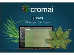 Cromai Plantas Daninhas