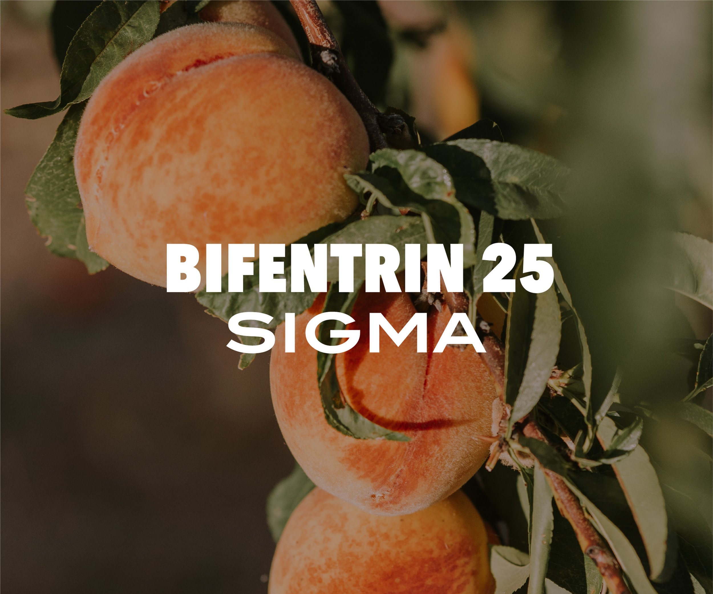 BIFENTRIN 25