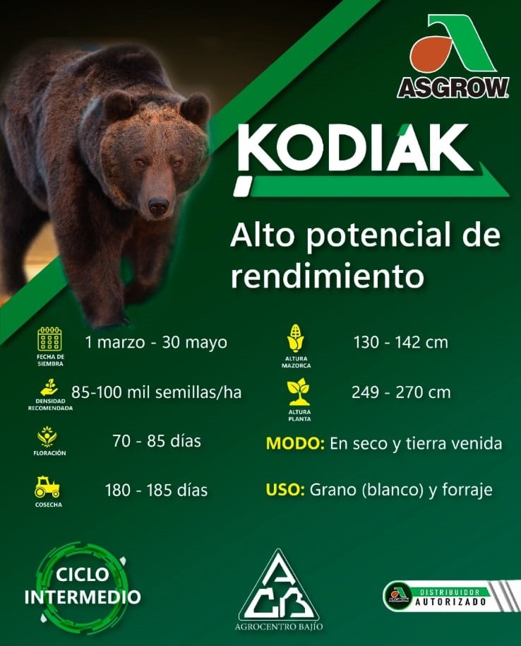 Semilla de Maíz Kodiak Tratada con Acceleron  