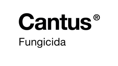 CANTUS 500G