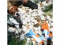 Brinquedo Multilaser PET PP141 Aminguinhos Animais Urso - 2