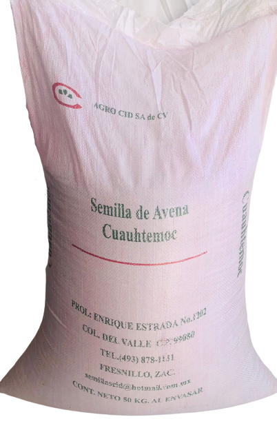 Semilla de Avena Cuahutemoc Certificada