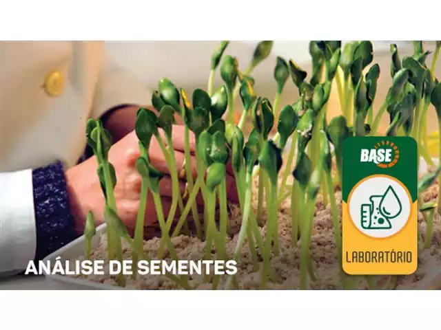 Análise de Sementes - BASE - 3