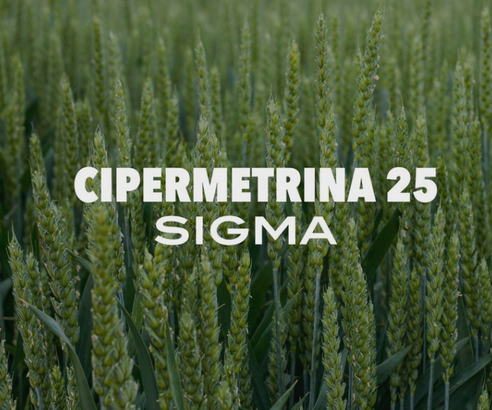 CIPERMETRINA 25 