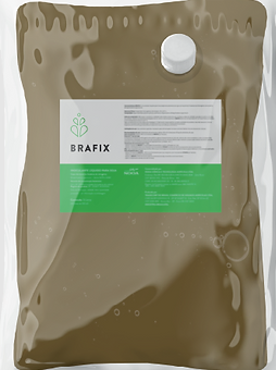 BRAFIX (BRADYRHIZOBIUM)1,8L