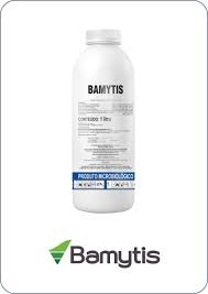 Bamytis