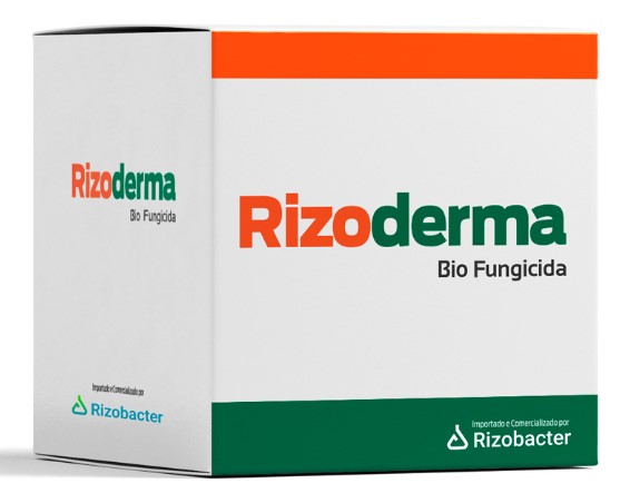 Rizoderma