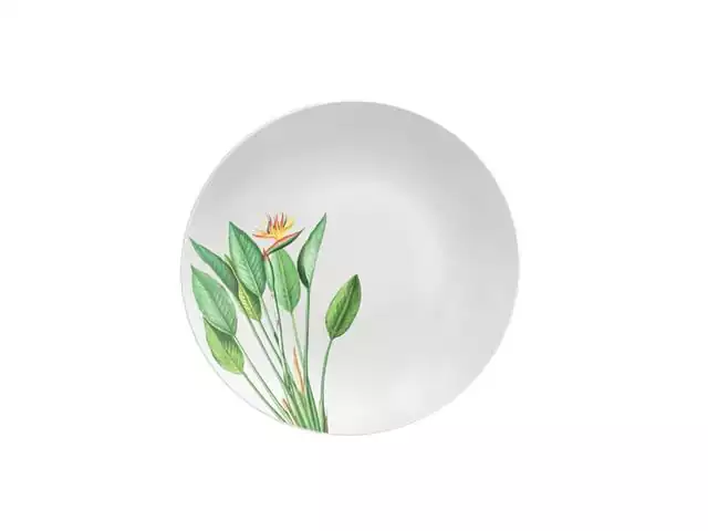 Prato Raso Tramontina Graziela em Porcelana Decorada 25CM