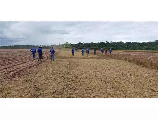 Qualidade na operação de colheitadeiras de cereais - 2