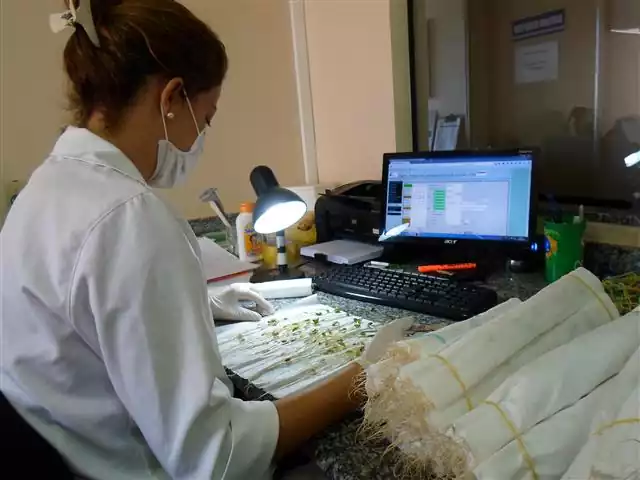 Disponibilização de Analistas para o Sul - 1