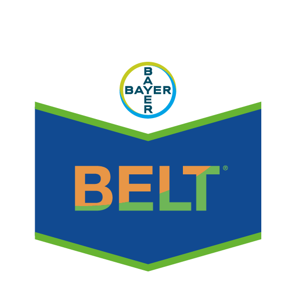 BELT - 0