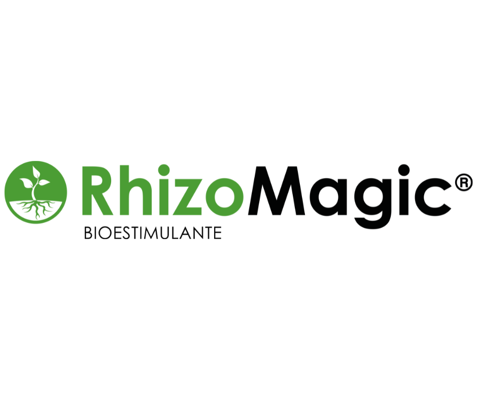 RHIZOMAGIC