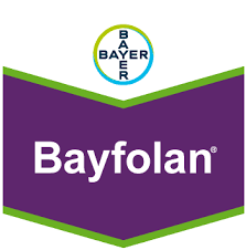 BAYFOLAN