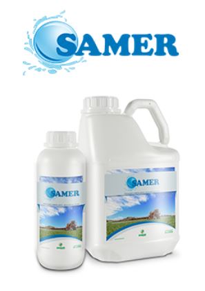 SAMER