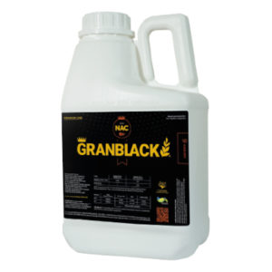 GranBlack