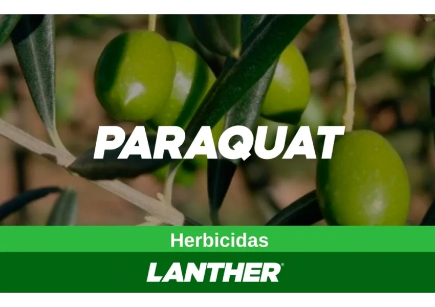 PARAQUAT