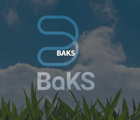 BAKS 9,29 K2O + 5,00 S + 0,20 B + 0,07 Mn + 23,24 Si