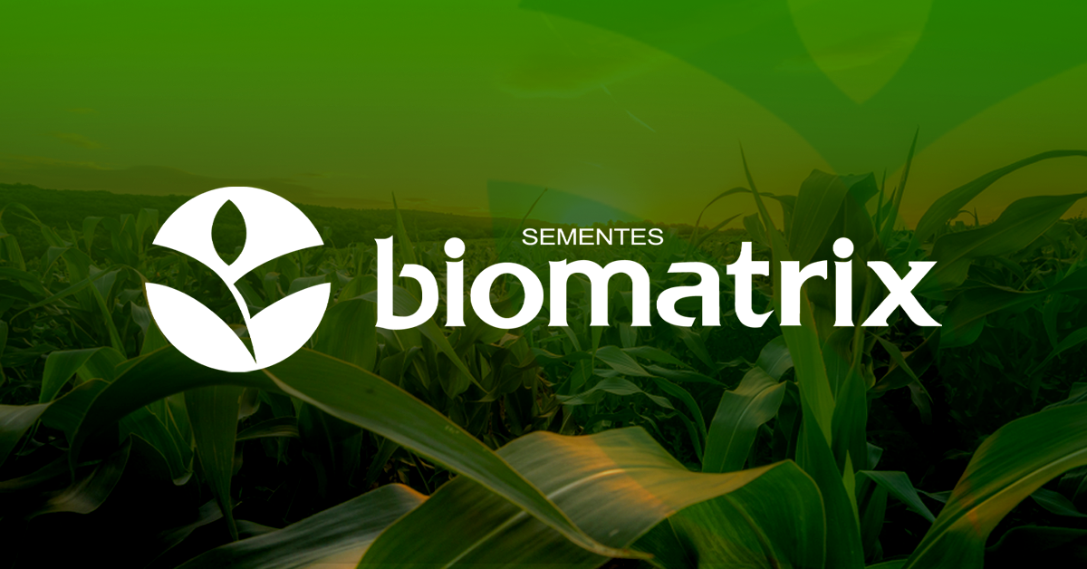 Semente de Sorgo BM779