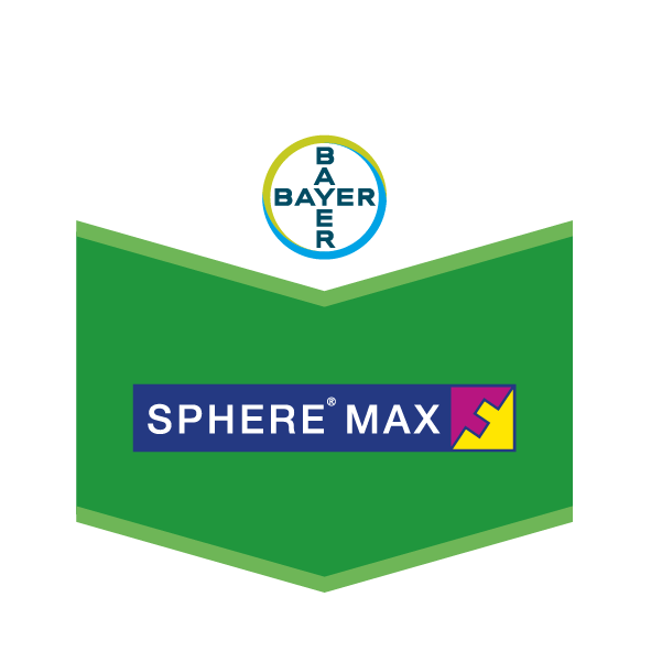 Sphere Max